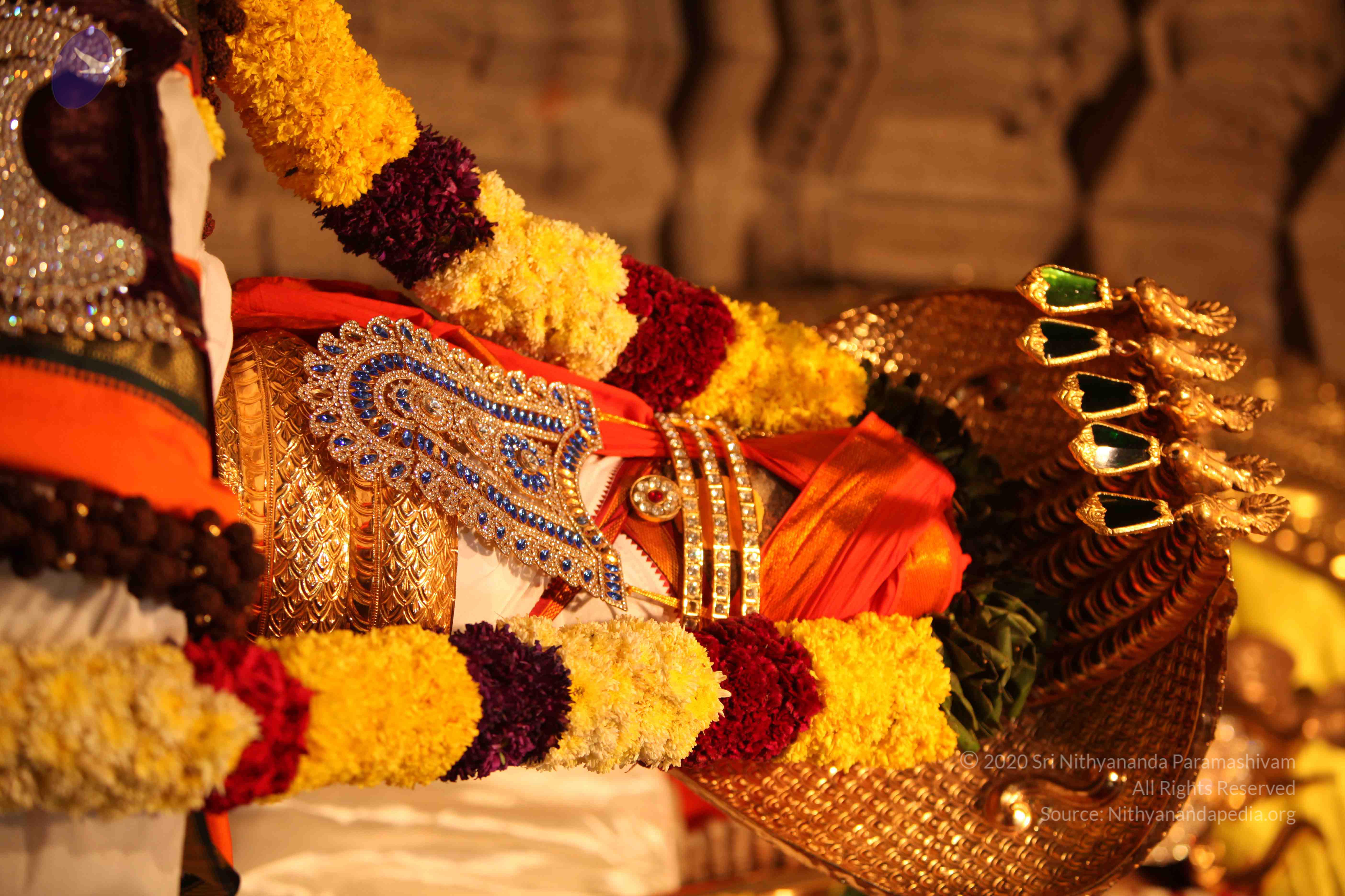 20110225_Photo_1009_IMG_1738_CMP_WM